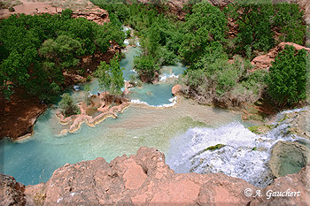 Top Havasu Fall